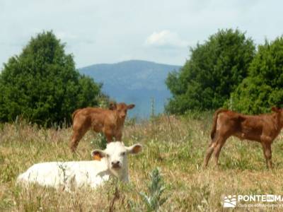 Embalse Pedrezuela; rutas y senderos; rutas por madrid y alrededores